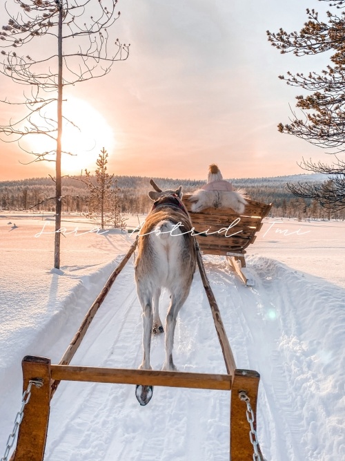 Poroajelu kuvapankkikuva