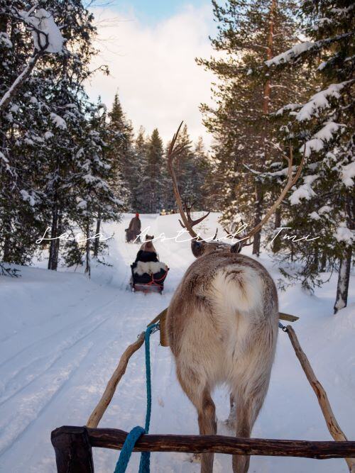 Porovaljakko kuvapankkikuva