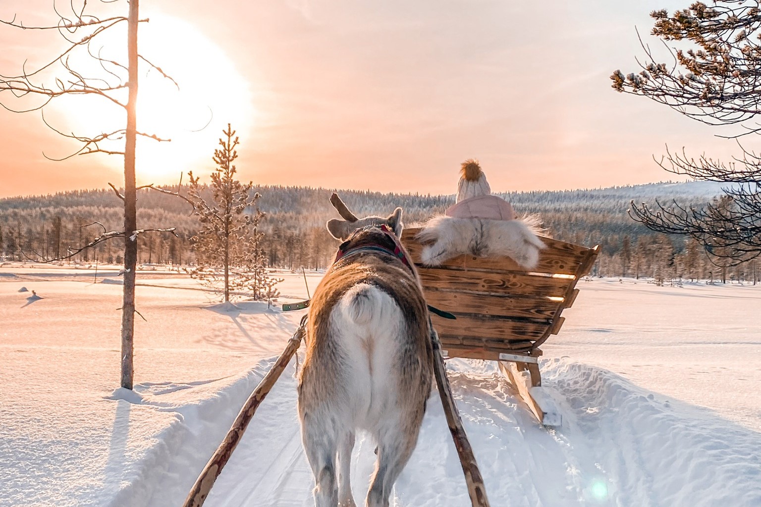 Matkailuyhteisö Travelgrammers_Finland.jpg