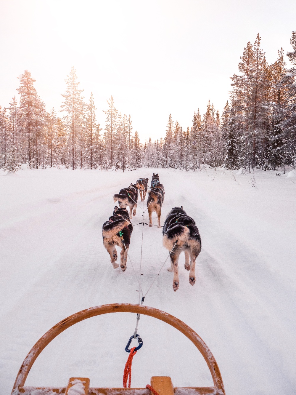 Vaikuttajamarkkinointi matkailupalveluille-1